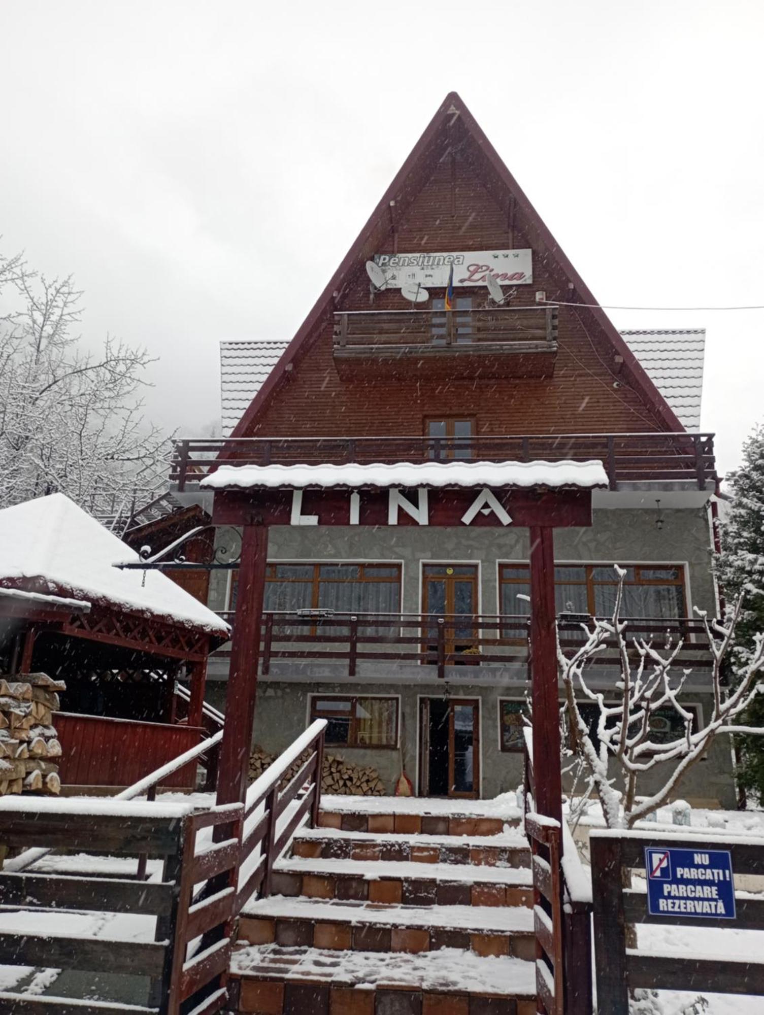 Lepşa Pensiunea Lina מראה חיצוני תמונה